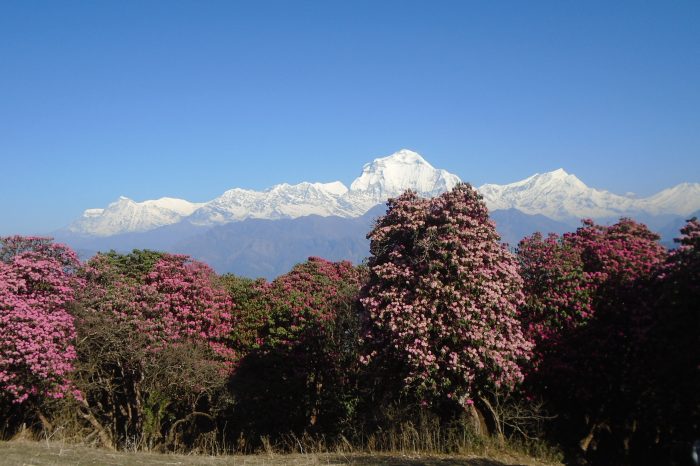 Région de l’Annapurna